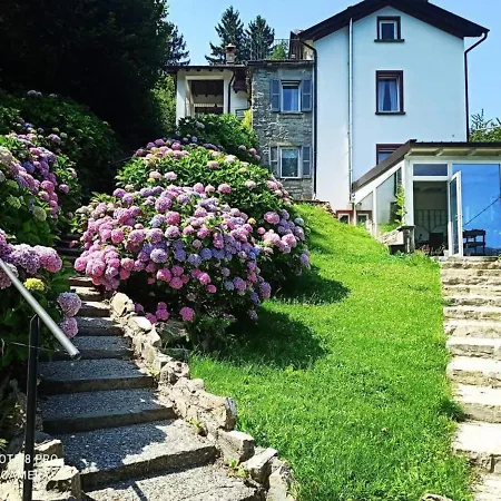 B&B Essentia 파게토 라리오