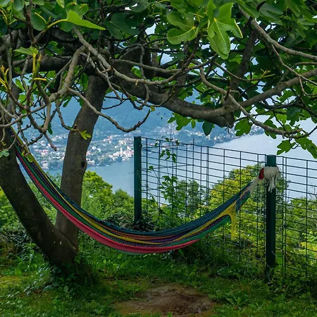 Essentia Bed & Breakfast *