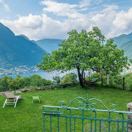 Essentia * Faggeto Lario