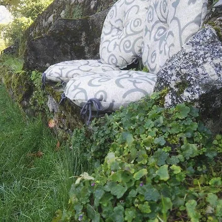 Essentia * Faggeto Lario